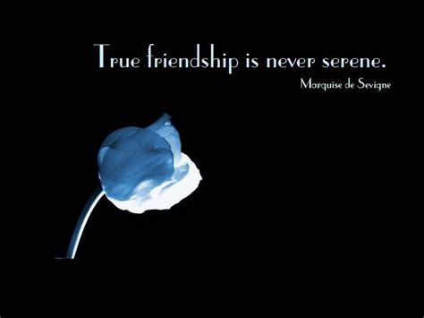 Melformer: Famous Friendship Quotes