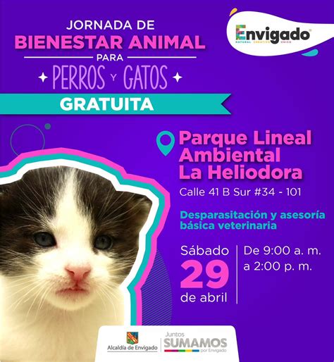 Alcaldía Envigado on Twitter Participa de la jornada de Bienestar