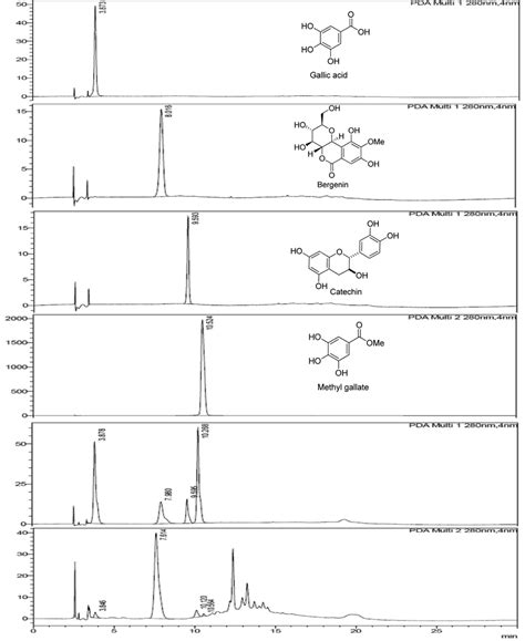 Hplc Chromatograms Of Iiim And Its Individual Markers Gallic Acid