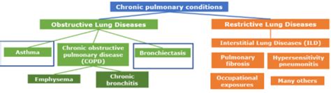 Lecture 7 Asthma And Bronchiectasis Flashcards Quizlet