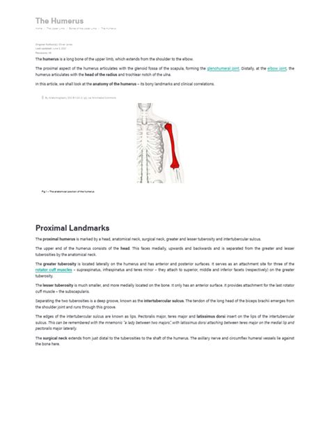 The Humerus - Proximal - Shaft - Distal - TeachMeAnatomy | PDF | Elbow | Musculoskeletal System