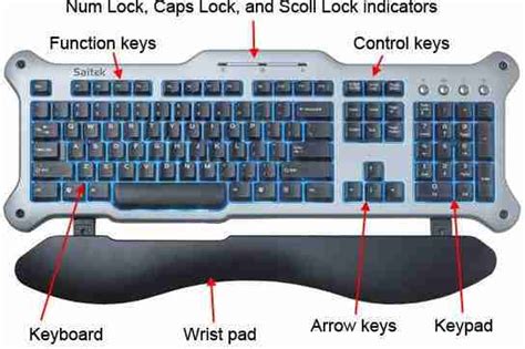 Examples Of Input Devices - Schoolings