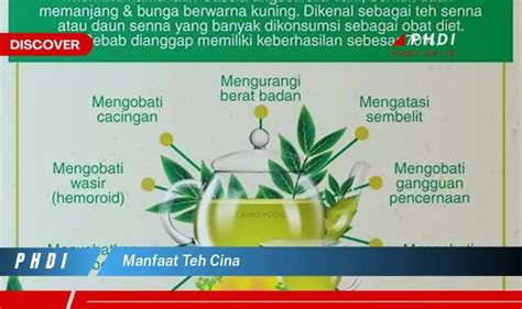 Temukan Manfaat Teh Cina Yang Bikin Kamu Penasaran