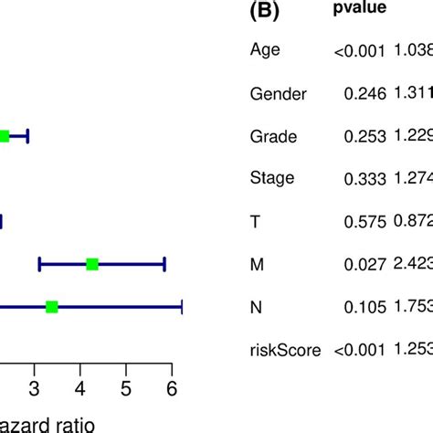 Independent Prognosis Analysis Between Clinical Features And Mirna