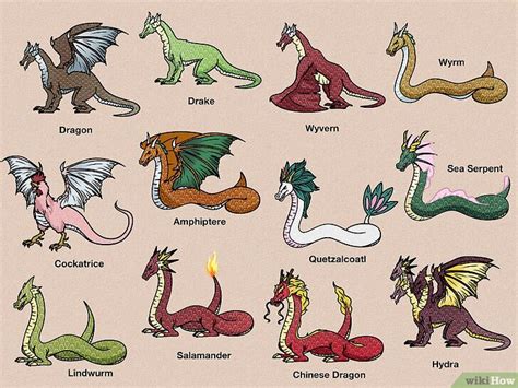 12 Different Types Of Dragons From Mythology And History