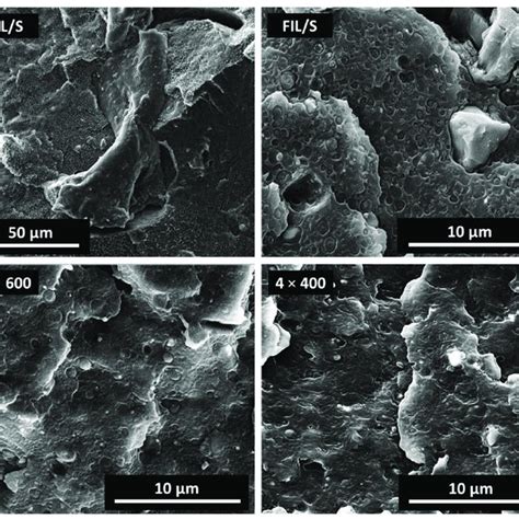 SEM Micrographs Of Cryo Fractured Surfaces Of FIL S 8 600 And 4