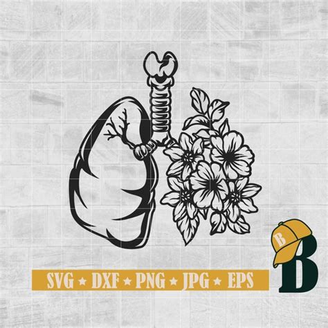 Lung Svg Etsy