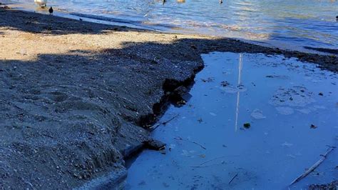 Acqua Dagli Invasi Alpini E Il Lago Ferma La Discesa Ma Meno Del