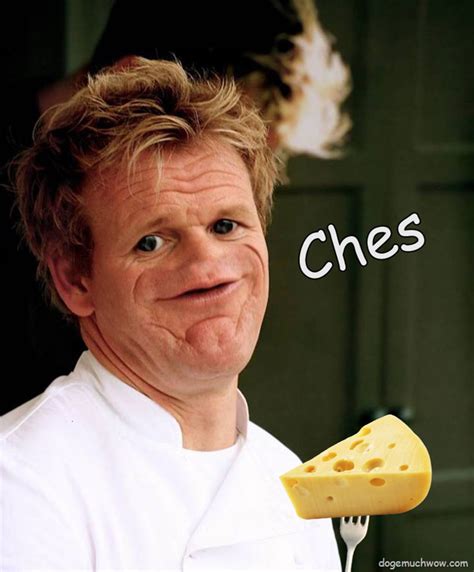 Gordon Ramsay’s Culinary Delight 👨‍🍳 | Doge Much Wow