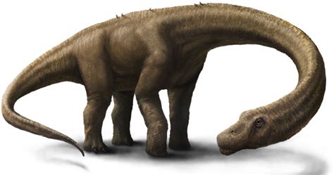 Meet Dreadnoughtus, the 65-ton dinosaur | Ars Technica