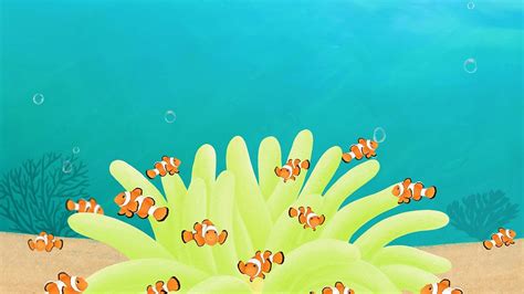 Cute clownfish desktop wallpaper background | Premium Photo ...