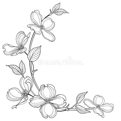 Dogwood Tree Isolated Stock Illustrations – 461 Dogwood Tree Isolated Stock Illustrations ...