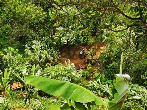 Wisata Danau Purba Sanghyang Heleut Ruangriang Co Id