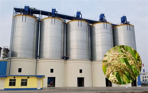 Rice Silos Rice Storage Silo For Sale Sron