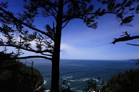 Cape Lookout Oregon Hikes Hiking Lookout