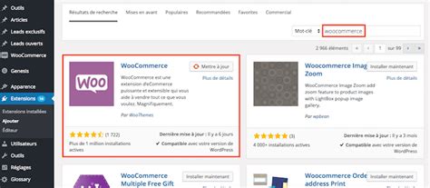 Cr Er Un Site Ecommerce Avec Wordpress En Tapes