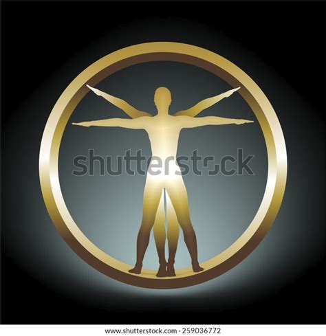 Study Human Body Proportions Stock Illustration 259036772