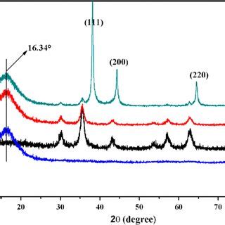 SEM Images A1a2 Fe3O4 RF B1b2 Fe3O4 RF Ag 0 1 Mol L1 Magnetic