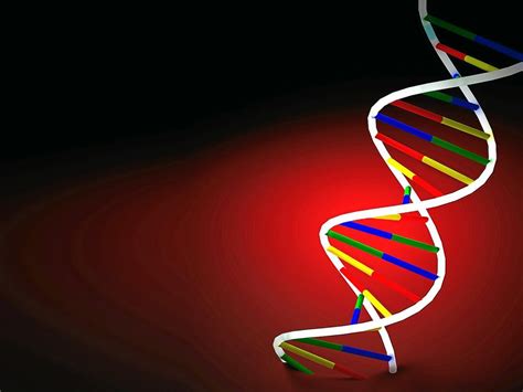 La Genética Clave En La Medicina Del Siglo Xxi