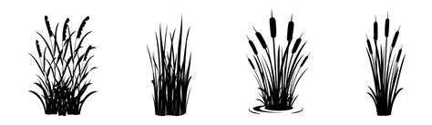 Silhouette Of Reeds On A White Background Set Of Swamp Grass Elements