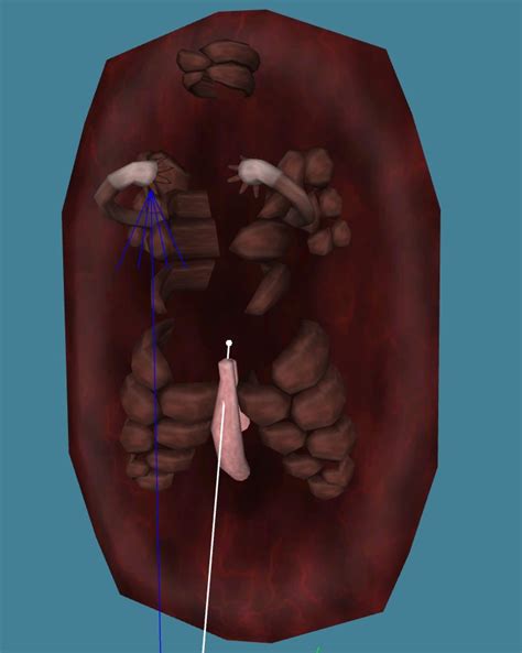 What Mod Is This And Adult Requests Page Request Find Oblivion Adult Sex Mods