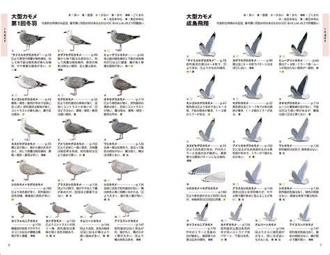 決定版 日本のカモメ識別図鑑 株式会社誠文堂新光社