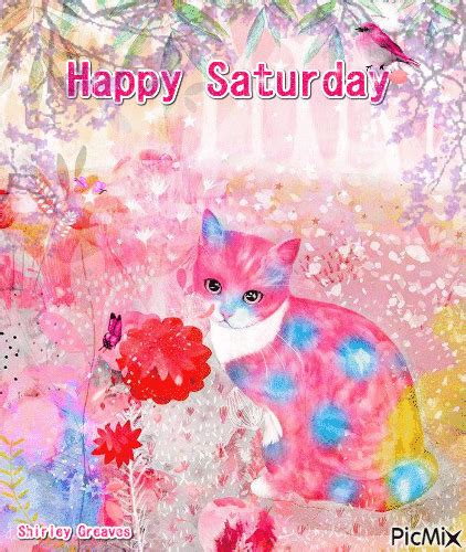 Happy Saturday Cat Gif Pictures, Photos, and Images for Facebook, Tumblr, Pinterest, and Twitter