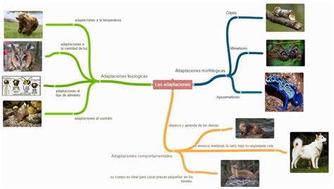 Mapa Adaptaciones Seres Vivos Porn Sex Picture