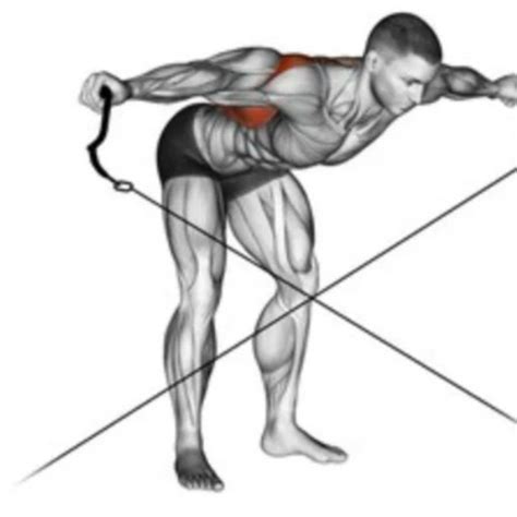 Cable Rear Delt Flyes by Neale Davis - Exercise How-to - Skimble