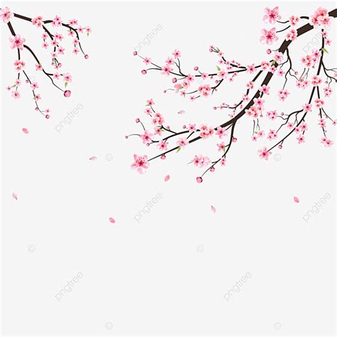 99 Background Bunga Sakura Png Images - MyWeb