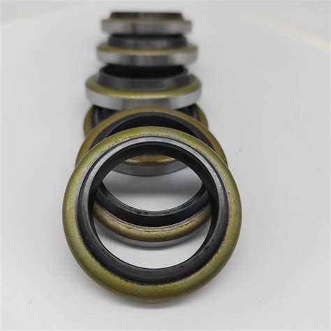 Fkm Silicone Nbr Sc Ta Tc Mechanical Shaft Seal Oil Seal China Tc Oil