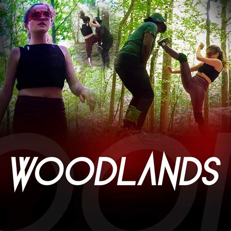 WOODLANDS - Iron Noise | IronNoise™: