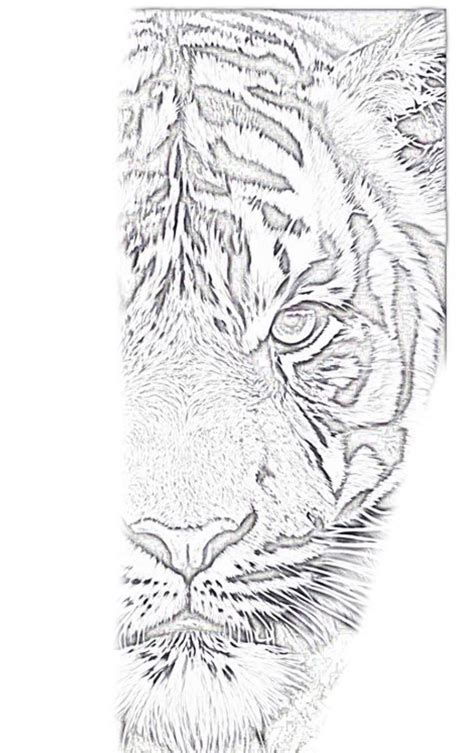 Tiger Hand Tattoo Tiger Tattoo Design Lion Head Tattoos Tattoo