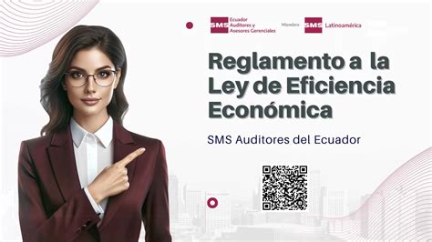 Reglamento General De La Ley De Eficiencia EconÓmica Y GeneraciÓn De