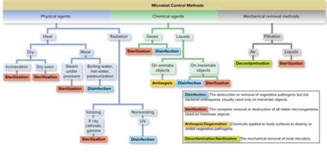 Chapter 9 Physical And Chemical Control Of Microbes Flashcards Quizlet