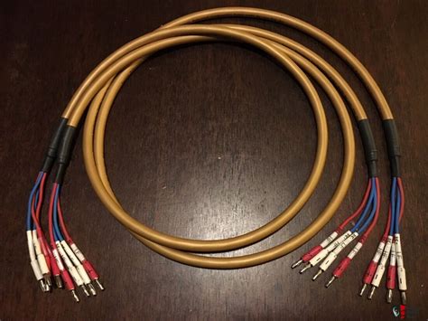 Cm Tannoy Reference Van Den Hul Speaker Cable Bi