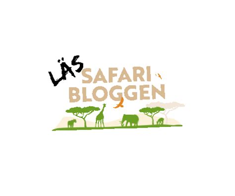 Big 5 Safari Sticker By Afrikakompaniet