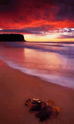 Sunset Sea GIF - Sunset Sea - Discover & Share GIFs