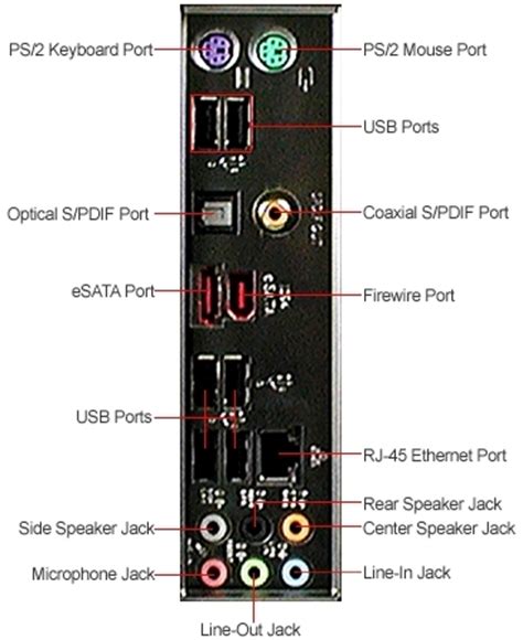 The Computers Back Connector Panel