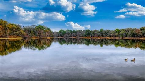 Lake Eacham Crater Lakes Cairns Australia Holidify