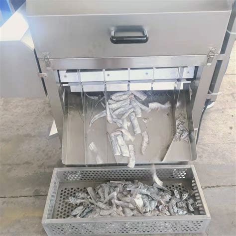 Vietnamtargeted Seafood Frozen Pangasius Steak Cutting Machine