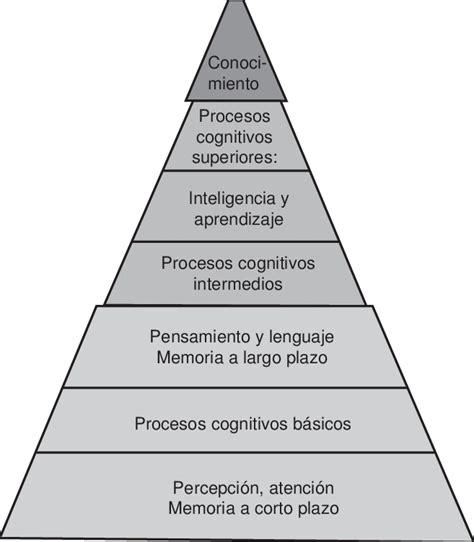 Pirámide Del Aprendizaje Download Scientific Diagram