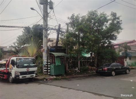 Commercial Lot For Sale Along Biak Na Bato St Brgy Siena Qc Land