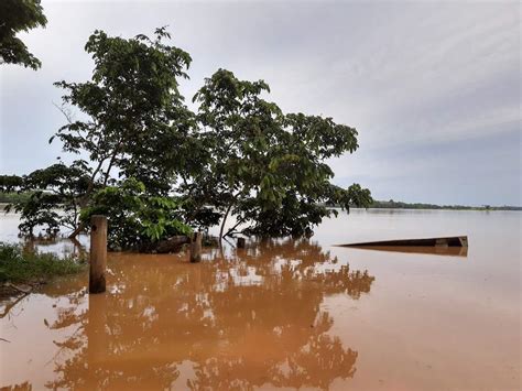 Rio Doce Est A Menos De Cent Metros Da Cota De Inunda O Em Linhares