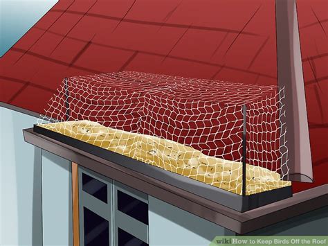 Ways To Keep Birds Off The Roof Wikihow