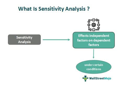 Sensitivity Analysis - What Is It, Examples, Formula, How To Do?