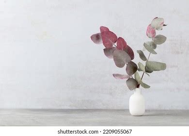 green eucalyptus leaves vase front view stock photo