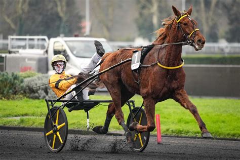 Prix de Belgique 2025 Iroise de la Noé s invite au bal américain