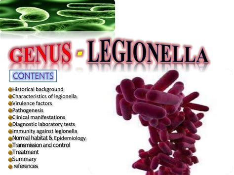 Legionella Microbiology Bacteriologypptx Ppt