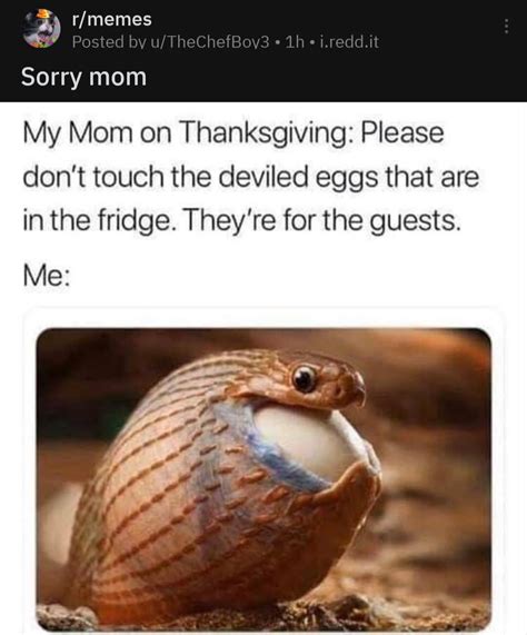 No like eggs (obviously not mine originally) : r/notmeirl